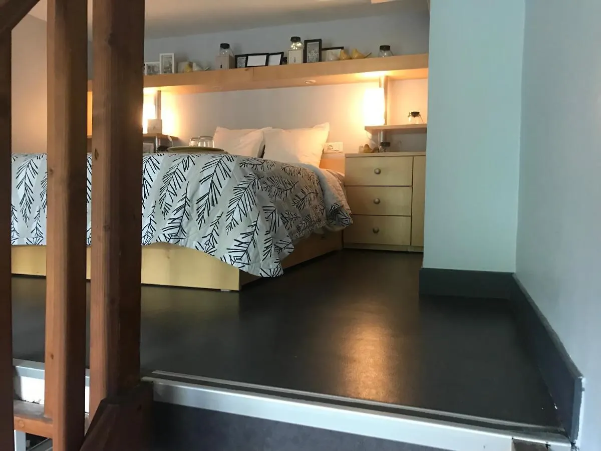 Aparthotel Maison Des Etudiants Canadiens *